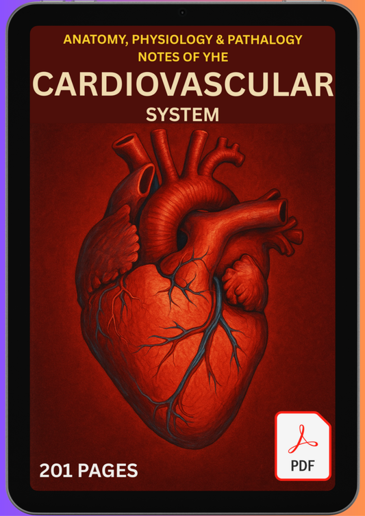 Cardiovascular Notes – Digital PDF Study Guide for Students & Healthcare Professionals